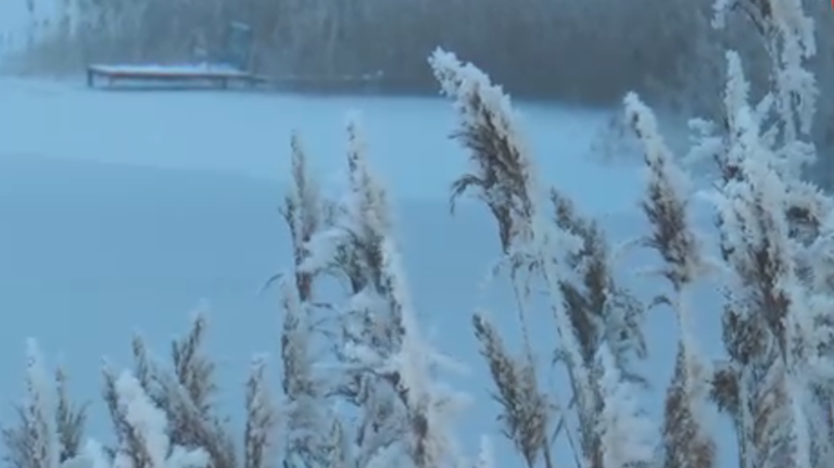 Strażacy przestrzegają przed wchodzeniem na lód