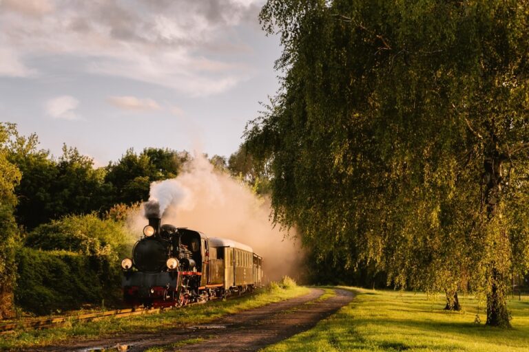 Rekord frekwencji Średziej Kolei Powiatowej
