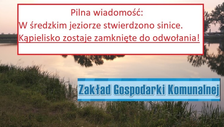Sinice w średzkim jeziorze