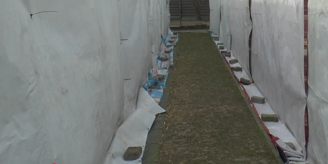 Schronisko zadbało o zwierzęta w trakcie mrozów